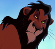 Scar-leroilion.png