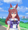 mihono-bourbon-uma-musume.gif